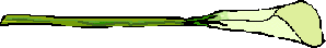 flower3.gif